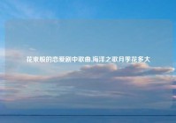 花束般的恋爱剧中歌曲,海洋之歌月季花多大