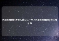 男朋友给我的神秘礼物,交往一年了男朋友没有送过我任何礼物