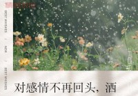 中年情感驿站：工作忙，爱情路漫漫