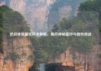 逆战体验服光环全解析，揭开神秘面纱与独特用途