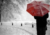 心情短语唯美(幸福的句子唯美短句干净治愈)