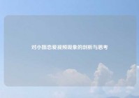 对小姐恋爱视频现象的剖析与思考