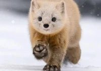 短句文案高质量(文案短句干净三观正高冷)