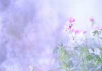 让对方看到忽然心疼的句子(你看过的最好看的耽美文是什么)