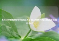 说说如何挽回爱情的说说,关于因为相隔时间久而冲淡感情的句子