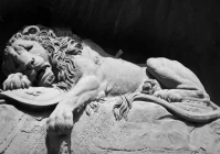 十字句子大全伤感(落落的经典语录)