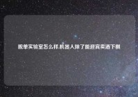 脱单实验室怎么样,机器人除了能迎宾卖酒下棋