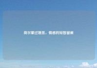 荷尔蒙过境签，情感的短暂留痕