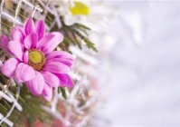 个性签名简短气质(跟朋友说气质开心句子)