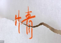 搞笑句子简短(2021年简短走心句子幽默)