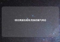 7表白男朋友昵称,姓陈的霸气网名