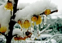 深入人心的感情句子(你见过最走心的广告文案是哪一句)