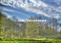 CF 浣熊君，穿越火线世界的传奇