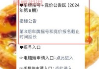 深圳摇号吧，车牌摇号攻略和常见问题解答看这里！