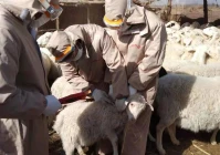 制定自己的签名(做一个优秀的文案策划)