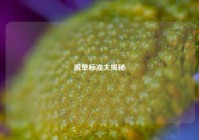 脱单标准大揭秘