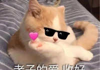 搞笑女沙雕文案(关于冬天和沙雕朋友的文案)