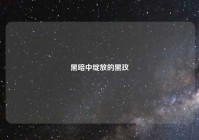 黑暗中绽放的黑玫