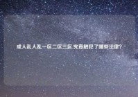 成人乱人乱一区二区三区,究竟触犯了哪些法律？