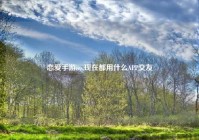 恋爱手游ios,现在都用什么APP交友