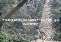 古风诗句唯美伤感短句,你知道哪些古代历史人物的一些不为人知的小秘密