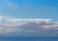 一个人的伤感短句,无依无靠全靠硬撑的伤感句子