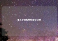 单身小伙脱单秘籍全知道