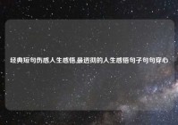 经典短句伤感人生感悟,最透彻的人生感悟句子句句穿心