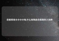 恋爱系统小小小小龟,什么宠物适合孤独的人饲养