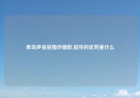 青岛罗曼庭婚纱摄影,指导的优势是什么