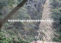 伤感情话短句搞笑,要富有伤感更要有内涵委婉