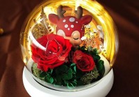 送女生有纪念意义的东西：精选个性化礼物推荐