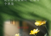 女生心情感悟：生活感悟与自我成长的力量