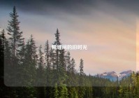 糖纸间的旧时光