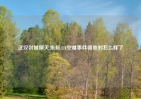 武汉封城聊天,东航321空难事件调查的怎么样了