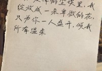 爱情情感说说短句：触动心弦的浪漫表达