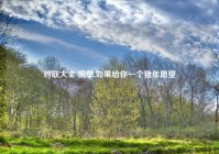 对联大全 脱单,如果给你一个猪年愿望