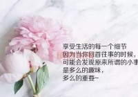 微信说说心情感悟人生：透视人生的哲理与感悟