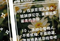 情感语录精选：记录深情与感悟的时光