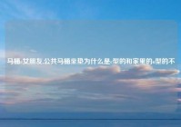 马桶c女朋友,公共马桶坐垫为什么是c型的和家里的o型的不