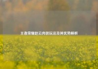 王者荣耀赵云肉装玩法及其优势解析