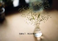 伤感十二个字(可以说一句你认为悲伤至极的话么)