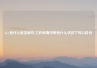 hbv是什么能恋爱吗,乙肝病毒携带者什么状况下可以自愈