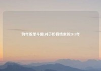 狗年脱单斗图,对于即将结束的2018年