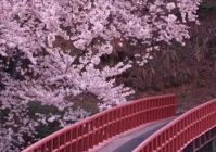 qq签名个性签名简短治愈(谁能推荐一本好看的小说)