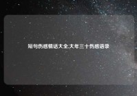 短句伤感情话大全,大年三十伤感语录