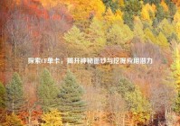 探索CF单卡，揭开神秘面纱与挖掘应用潜力