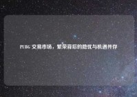 PUBG 交易市场，繁荣背后的隐忧与机遇并存