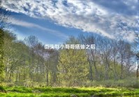 街头与小哥哥搭讪之后