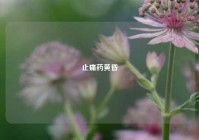 止痛药黄昏